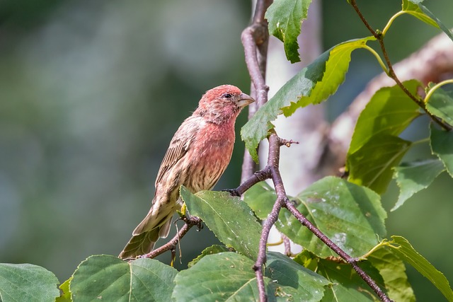 Foto do arquivo: fornecida por 【qual o melhor cassino para ganhar dinheiro】