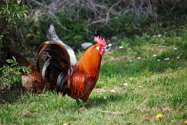 Foto do arquivo: fornecida por 【resultado da lotofácil de hoje quarta】