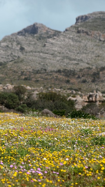 Foto do arquivo: fornecida por 【concurso da lotofácil 1680】