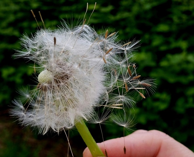 Foto do arquivo: fornecida por 【loterias caixa.】