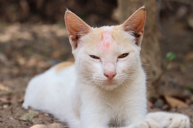 Foto do arquivo: fornecida por 【Resultado da Lotofácil de ontem à noite】