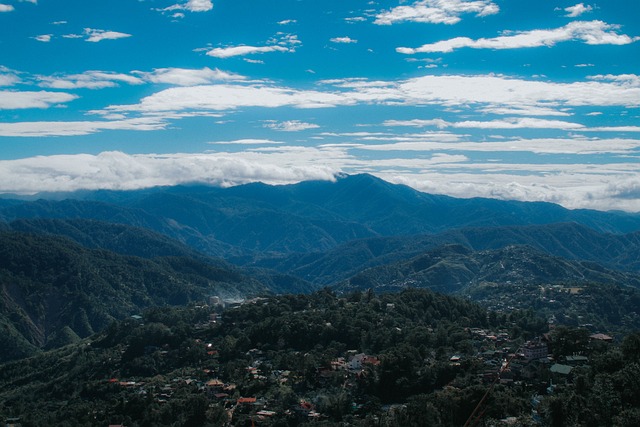 Foto do arquivo: fornecida por 【poki】