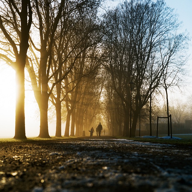 berlin marathon 2023 lottery date