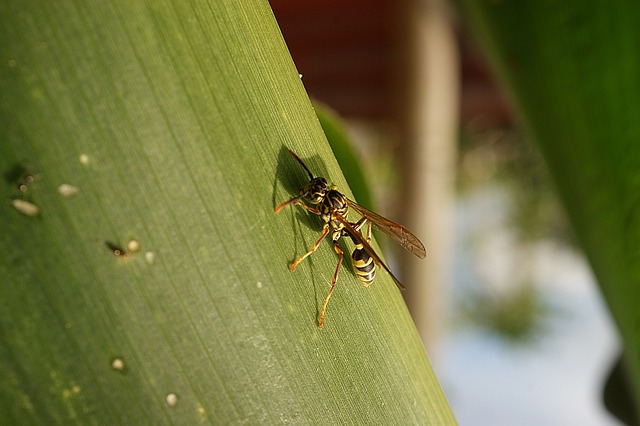 Foto do arquivo: fornecida por 【quina 3003】