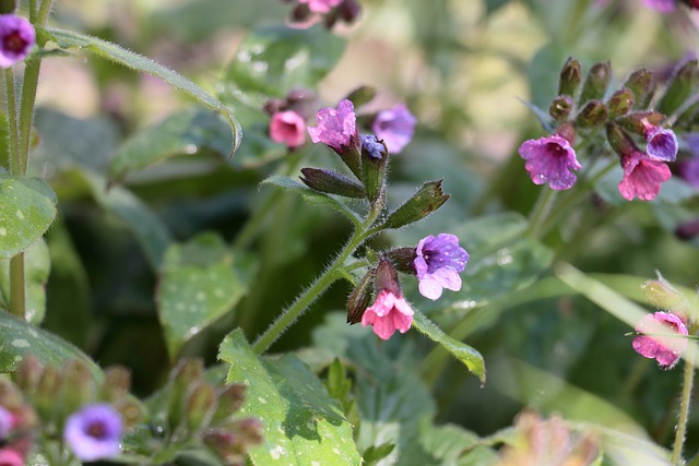 caixa loterias quina