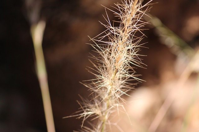 Foto do arquivo: fornecida por 【betf】