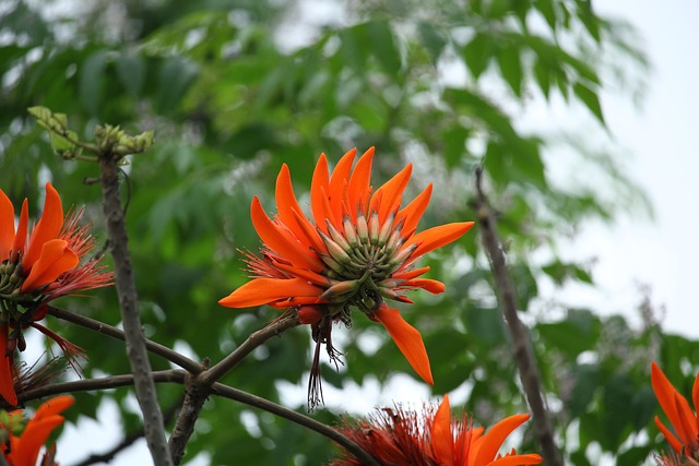 Foto do arquivo: fornecida por 【resultado quina concurso 6000】