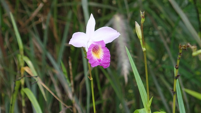 morada do sol cassino|pousada 