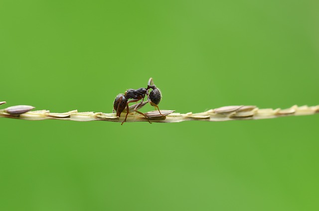 Foto do arquivo: fornecida por 【Plataforma prática que recompensa muito hoje】