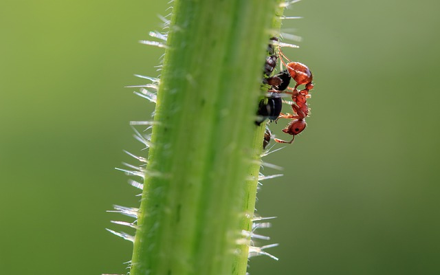 Foto do arquivo: fornecida por 【melhor plataforma para jogar fortune tiger】