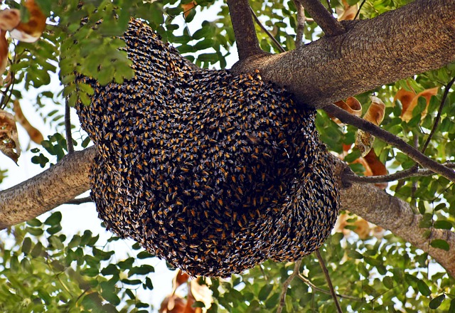 Foto do arquivo: fornecida por 【resultado da quina de são joão google】