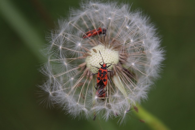 Foto do arquivo: fornecida por 【sorteio da quina sorteio da quina】