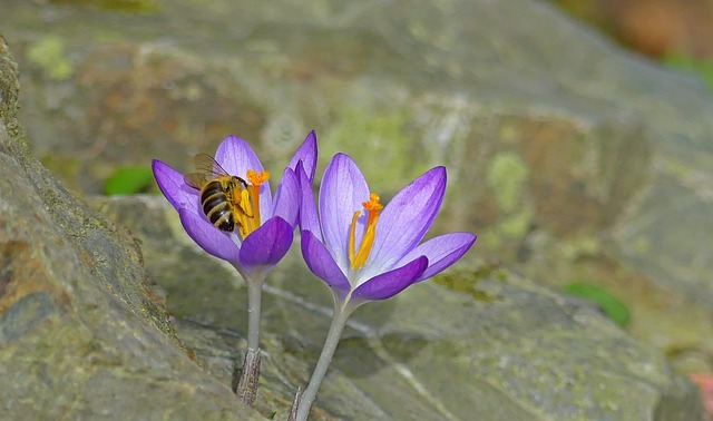 Foto do arquivo: fornecida por 【spirited wonders 55】