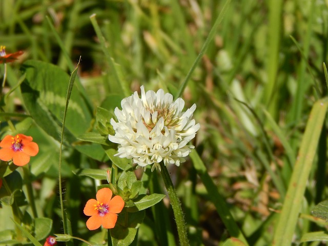 Foto do arquivo: fornecida por 【royal633】