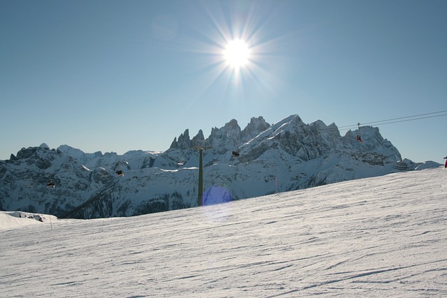 simulador roleta cassino