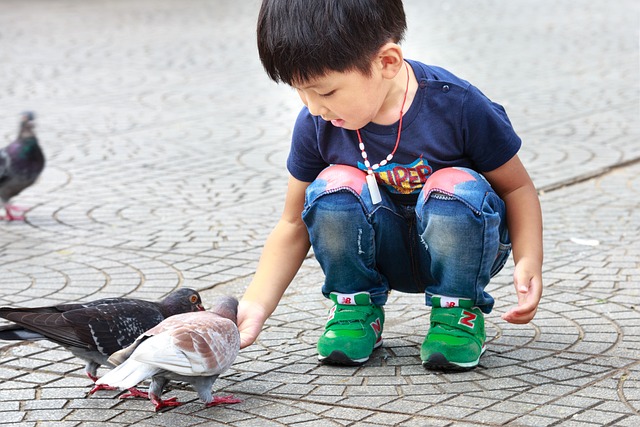 como se joga na quina de são joão