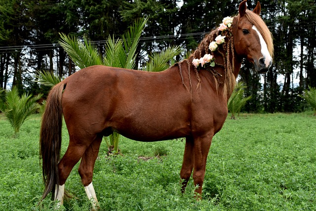 resultado jogo do bicho ptn são paulo