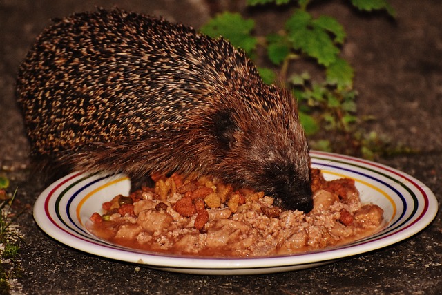 Foto do arquivo: fornecida por 【resultado da mega sena desta quinta feira】