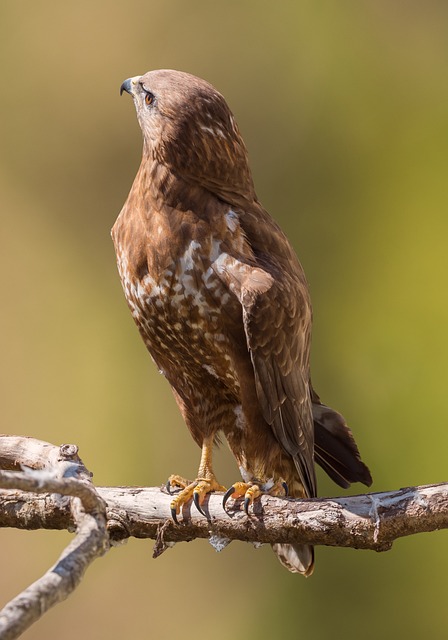 Foto do arquivo: fornecida por 【bingo das letras como jogar】