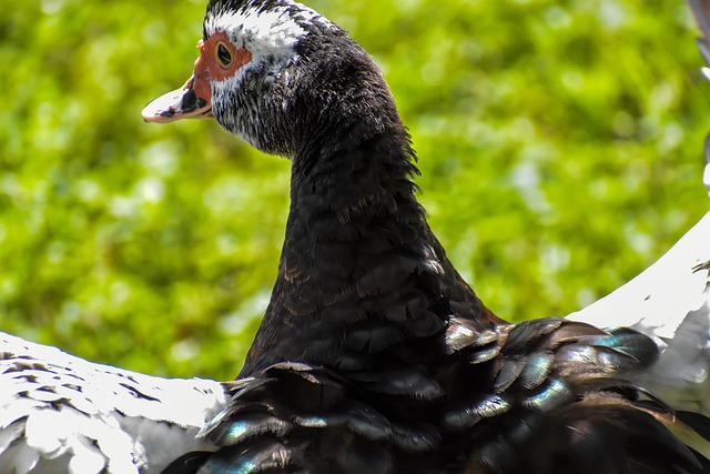 Foto do arquivo: fornecida por 【cassino vicia】