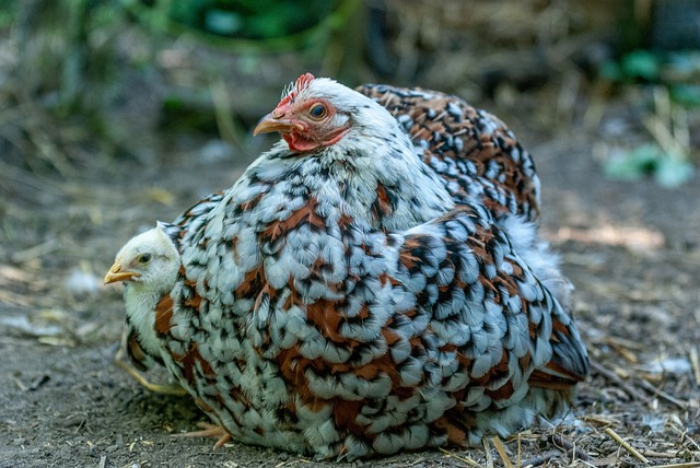 Foto do arquivo: fornecida por 【resultado quina 5809】