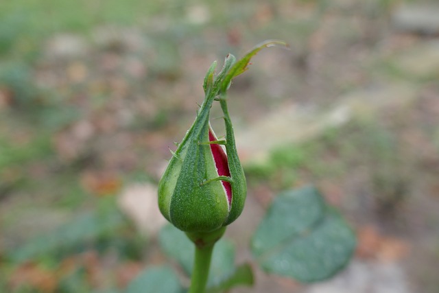 Foto do arquivo: fornecida por 【resultado quina giga sena】