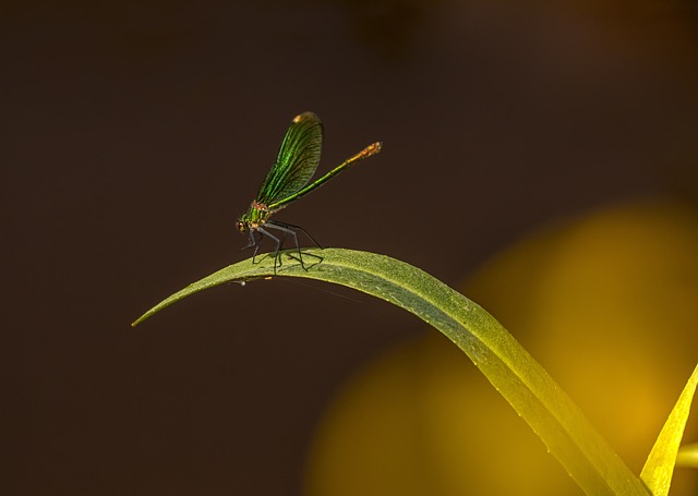 Foto do arquivo: fornecida por 【resultado da loteria dos sonho do dia 21】