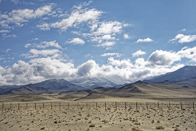 bônus de cadastro