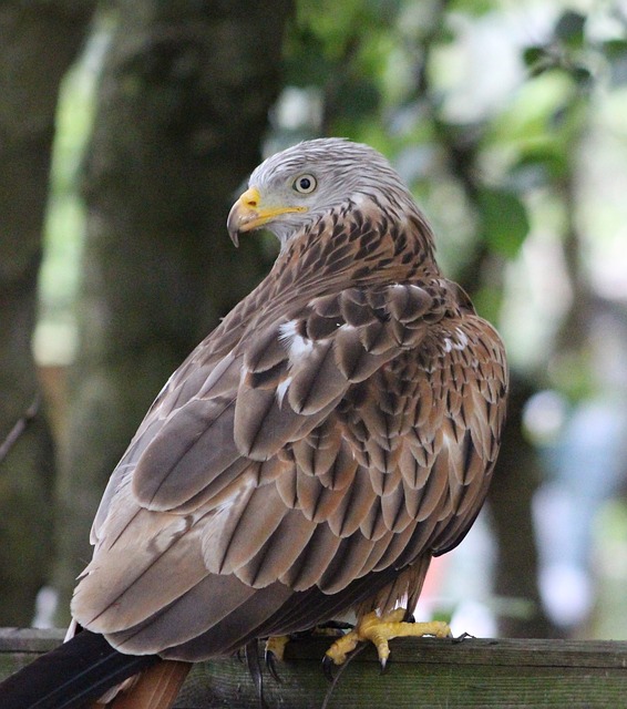 Foto do arquivo: fornecida por 【resultado da lotofácil 2265】