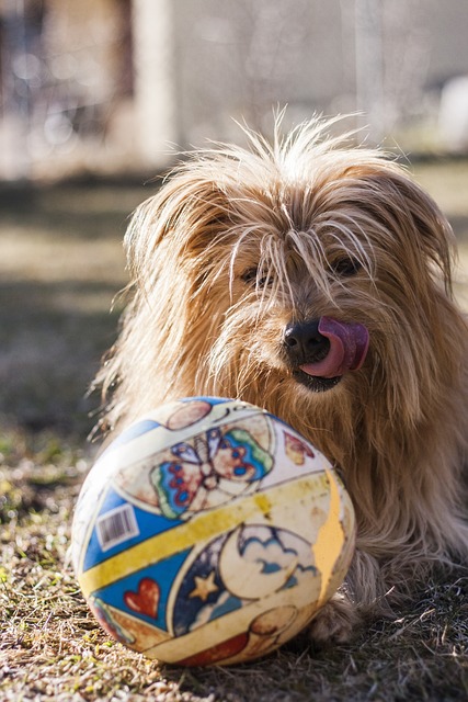 resultado jogo do bicho ptn são paulo