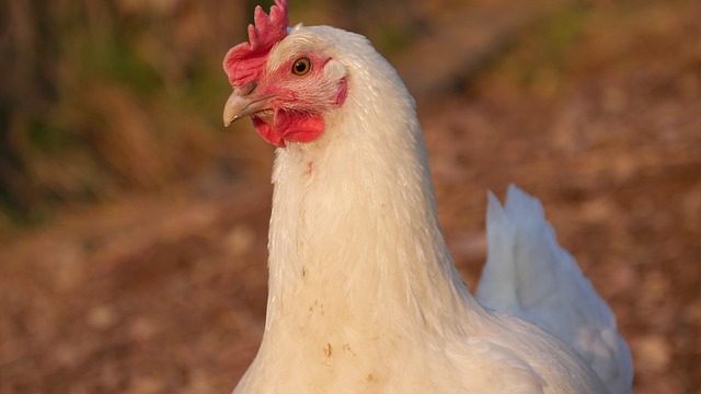 Foto do arquivo: fornecida por 【resultado mega sena 2346】