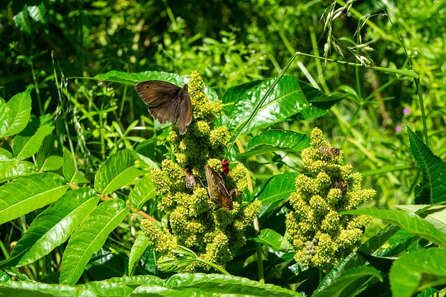 Foto do arquivo: fornecida por 【Canal de lucros rápidos】