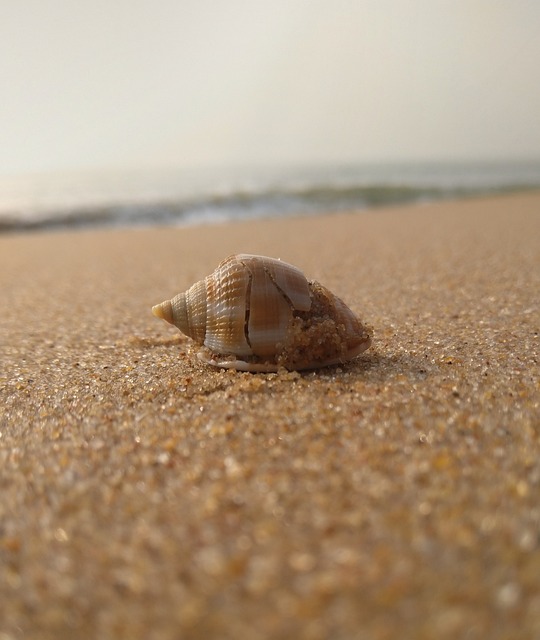 Foto do arquivo: fornecida por 【resultado da loteria de sexta feira】