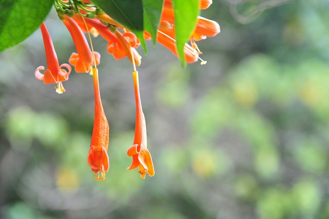 Foto do arquivo: fornecida por 【macaw88】