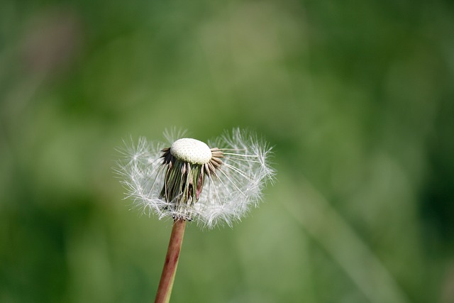 Foto do arquivo: fornecida por 【quantos números ganha na lotofácil】