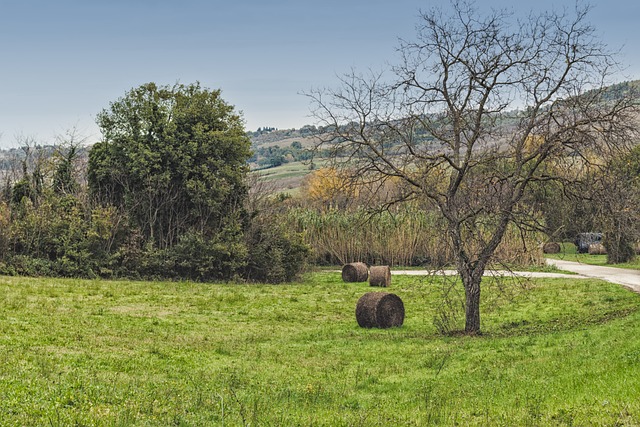 Foto do arquivo: fornecida por 【Resultado de ontem da Lotofácil】