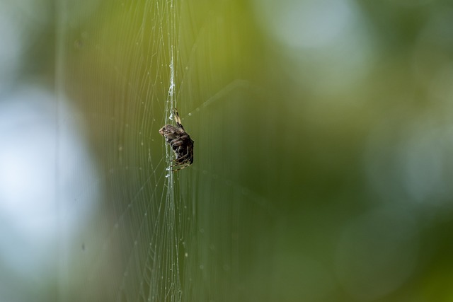 Foto do arquivo: fornecida por 【resultado do de bicho】