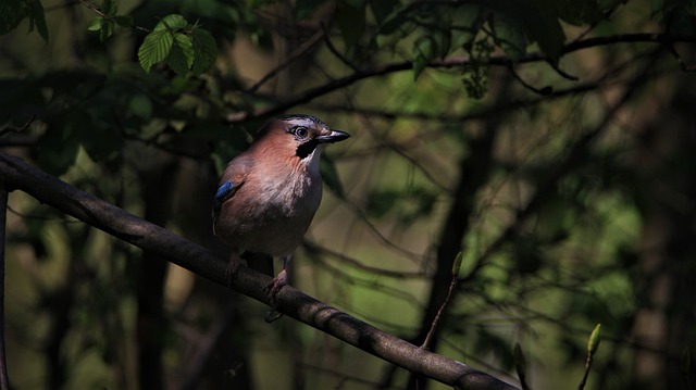 Foto do arquivo: fornecida por 【pousadas em cassino rio grande】