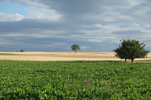 quina caixa loterias