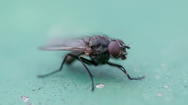 Foto do arquivo: fornecida por 【bichos da federal de hoje,bichos para federal de hoje】