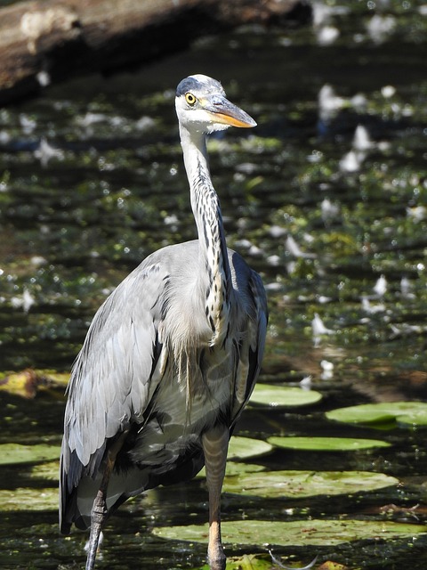 Foto do arquivo: fornecida por 【resultado da mega sena do dia 18 de julho】