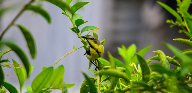 Foto do arquivo: fornecida por 【brx aposta】