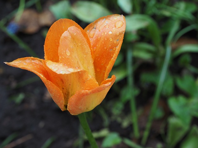 Foto do arquivo: fornecida por 【resultado da quina 5752】