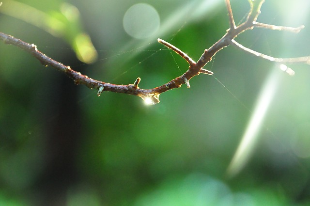 Foto do arquivo: fornecida por 【ludovic blas】