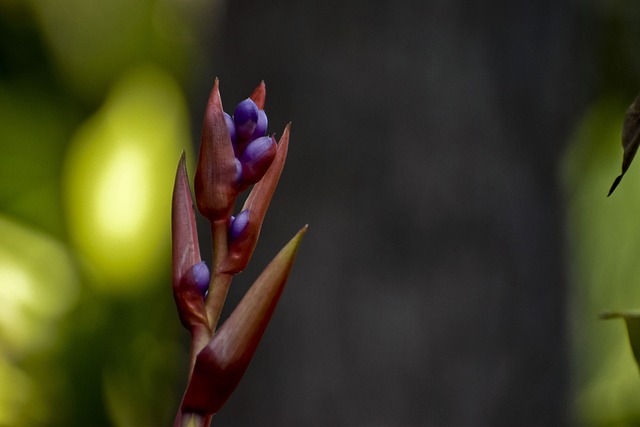 caixa loterias lotofácil