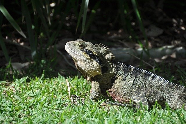 Foto do arquivo: fornecida por 【Ferramenta nova anunciada hoje】