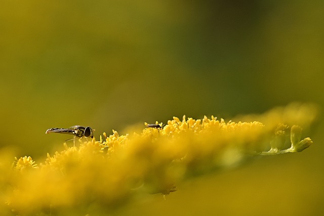 Foto do arquivo: fornecida por 【lambor88】