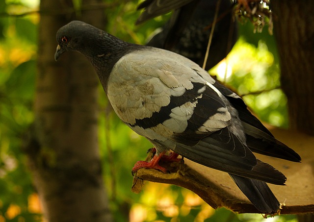 Foto do arquivo: fornecida por 【numero do jacare bicho】