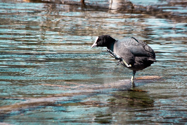 Foto do arquivo: fornecida por 【resultado concurso 2511 mega sena】