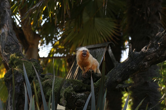 Foto do arquivo: fornecida por 【o resultado da lotofácil do dia 6】